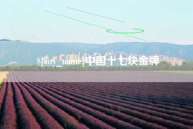 新昌中国十七块金牌