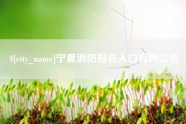 新昌宁夏消防报名入口官网公告