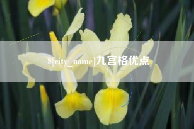 新昌九宫格优点