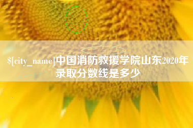 新昌中国消防救援学院山东2020年录取分数线是多少
