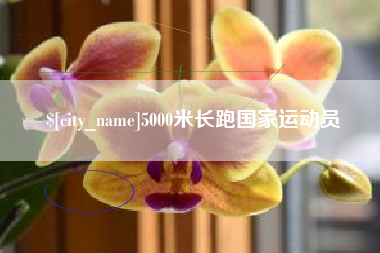 新昌5000米长跑国家运动员