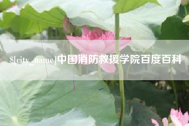 新昌中国消防救援学院百度百科