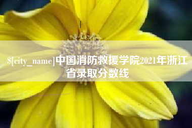 新昌中国消防救援学院2021年浙江省录取分数线