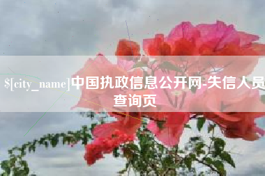 新昌中国执政信息公开网-失信人员查询页