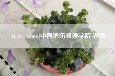 新昌中国消防救援学院 老师