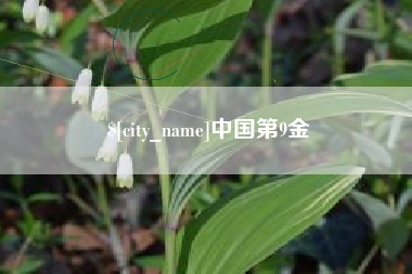 新昌中国第9金