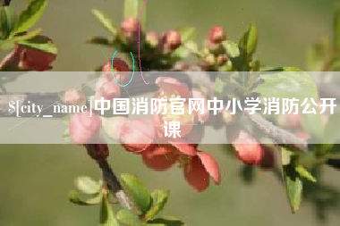 新昌中国消防官网中小学消防公开课