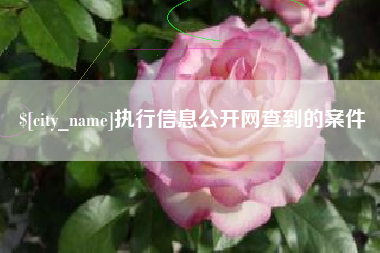 新昌执行信息公开网查到的案件