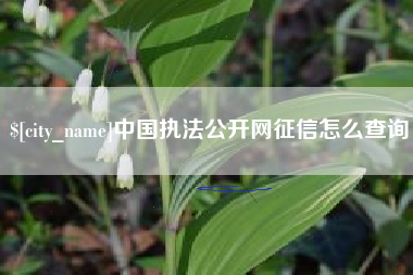 新昌中国执法公开网征信怎么查询