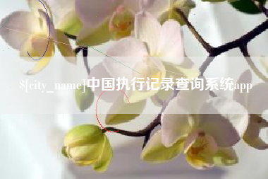 新昌中国执行记录查询系统app