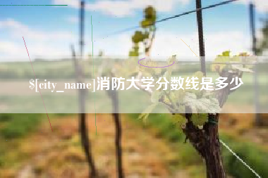 新昌消防大学分数线是多少