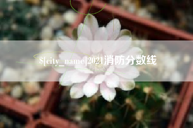 新昌2021消防分数线