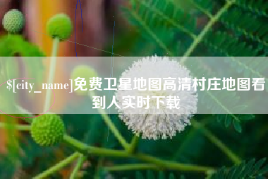新昌免费卫星地图高清村庄地图看到人实时下载