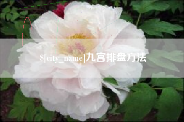新昌九宫排盘方法
