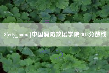 新昌中国消防救援学院2018分数线