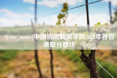 新昌中国消防救援学院2020年各省录取分数线