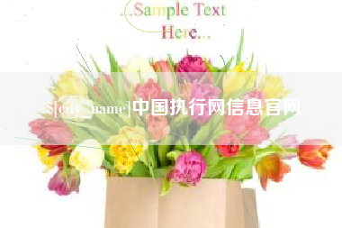新昌中国执行网信息官网