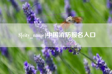新昌中国消防报名入口
