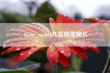 新昌九宫格龙图片