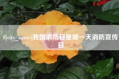 新昌我国消防日是哪一天消防宣传日