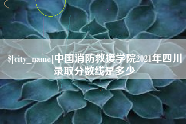 新昌中国消防救援学院2021年四川录取分数线是多少