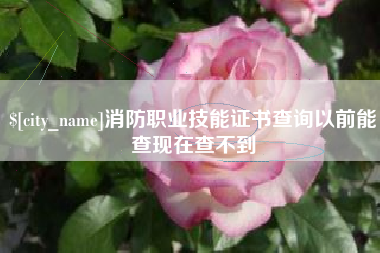 新昌消防职业技能证书查询以前能查现在查不到