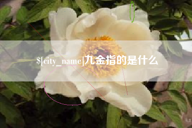 新昌九金指的是什么