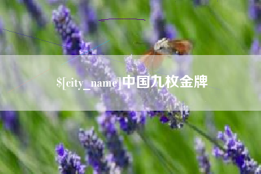 新昌中国九枚金牌