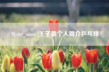 新昌王子豪个人简介乒乓球