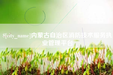 新昌内蒙古自治区消防技术服务执业管理平台