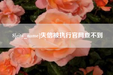 新昌失信被执行官网查不到