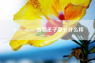 新昌看看王子豪长什么样