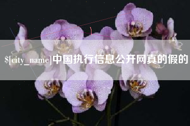 新昌中国执行信息公开网真的假的