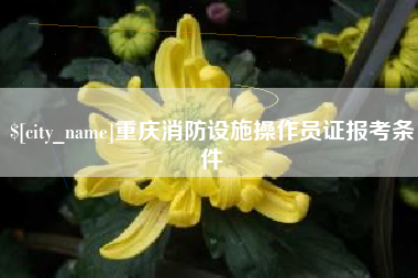 新昌重庆消防设施操作员证报考条件