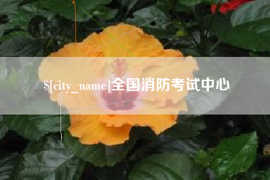 新昌全国消防考试中心