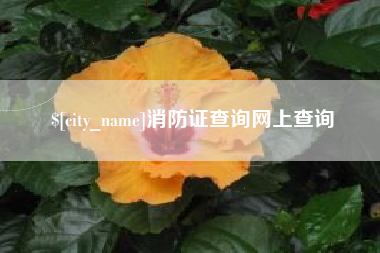 新昌消防证查询网上查询