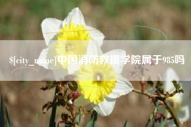 新昌中国消防救援学院属于985吗