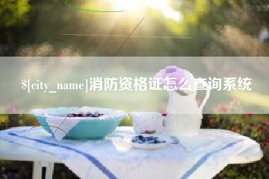 新昌消防资格证怎么查询系统