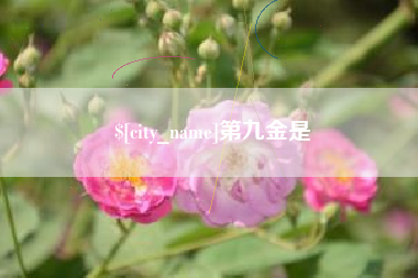 新昌第九金是