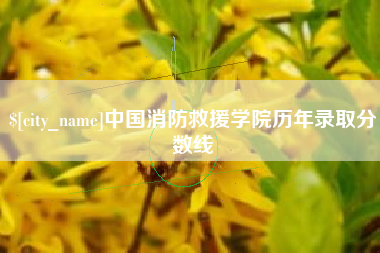 新昌中国消防救援学院历年录取分数线