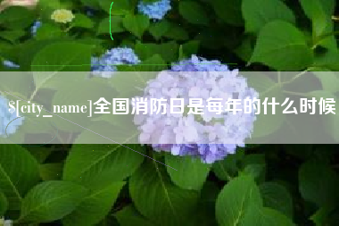 新昌全国消防日是每年的什么时候