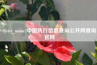 新昌中国执行信息查询公开网查询官网