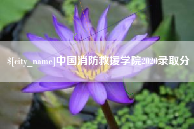 新昌中国消防救援学院2020录取分