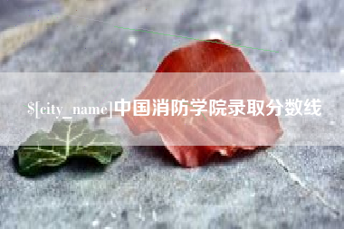新昌中国消防学院录取分数线
