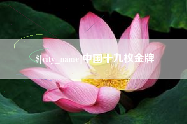 新昌中国十九枚金牌