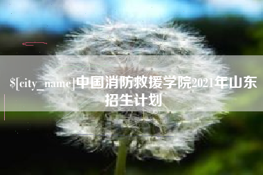 新昌中国消防救援学院2021年山东招生计划
