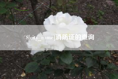 新昌消防证的查询