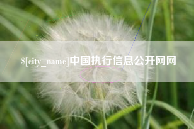 新昌中国执行信息公开网网