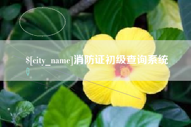 新昌消防证初级查询系统