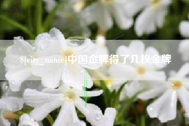新昌中国金牌得了几枚金牌